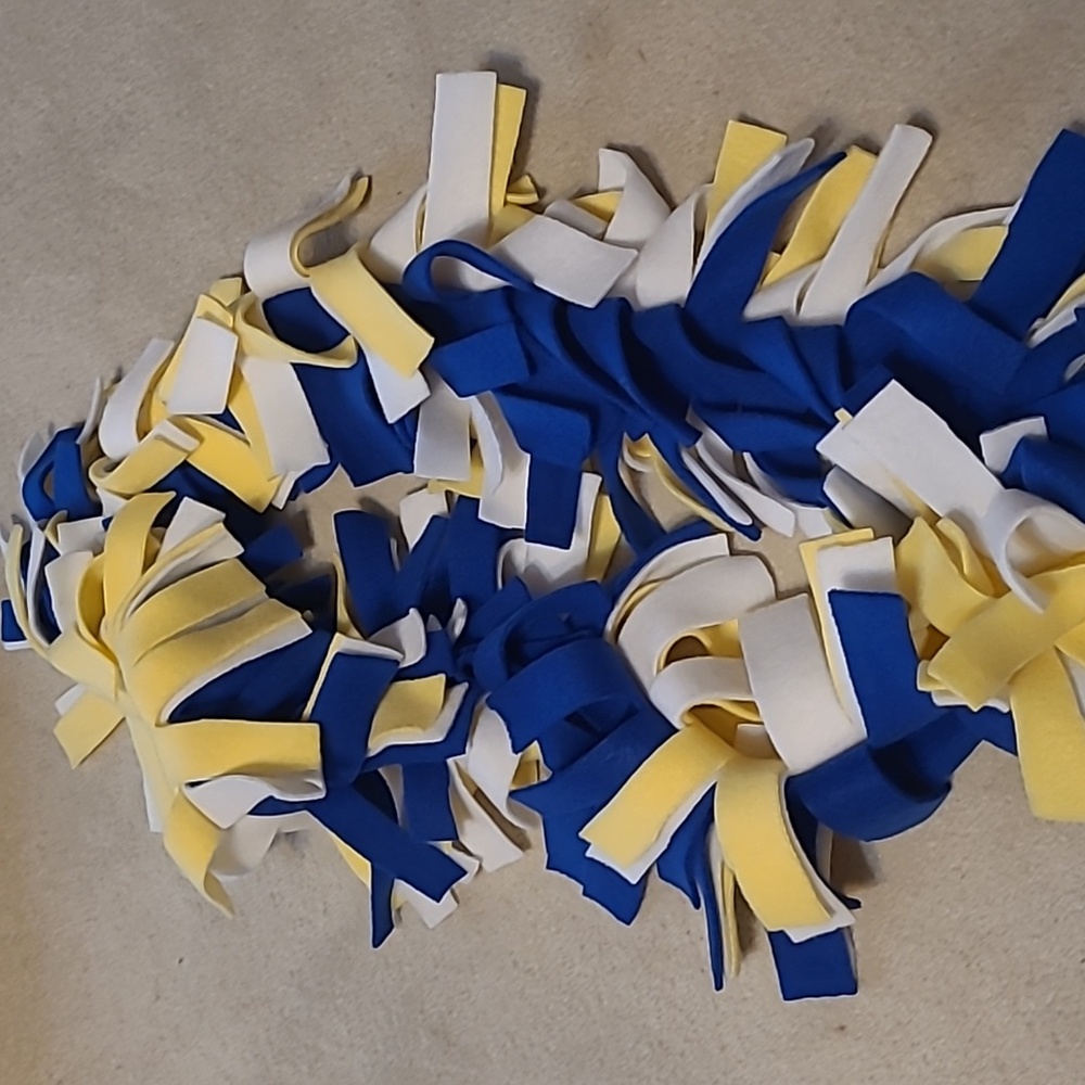 Felt Scarf for Game Day!